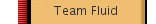 Team Fluid
